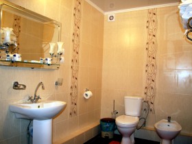 Cанузел в люксе с кухней