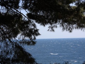 море