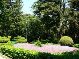 цветы в парке