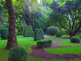 клумбы в парке